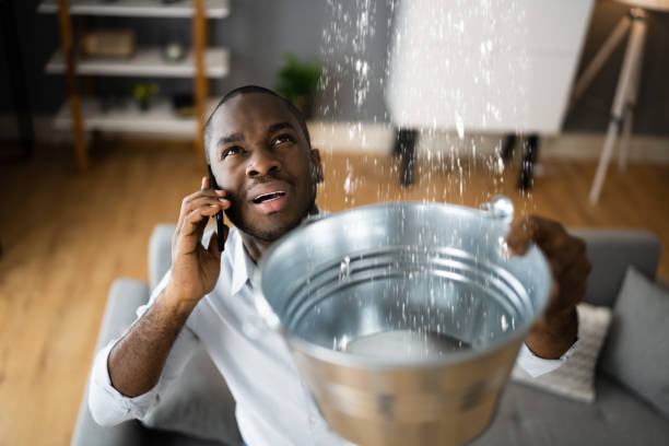 Best Water damage restoration process  in Central City, NE