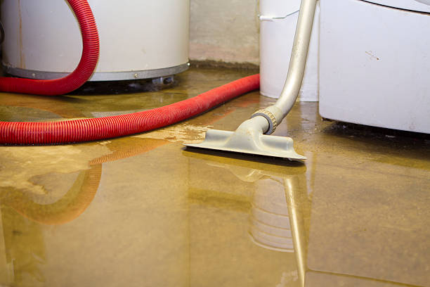 Best Basement water damage restoration  in Central City, NE