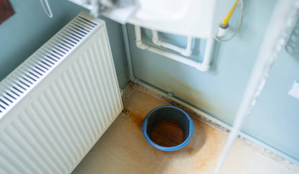 Best Sewage cleanup and water damage restoration  in Central City, NE