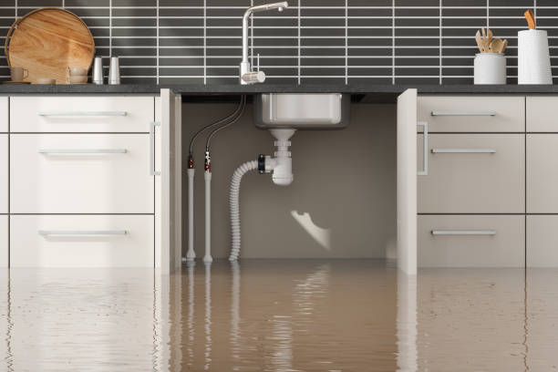 Trusted NE Water damage restoration Experts