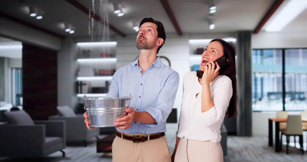 Best Water damage contractors near me  in Central City, NE